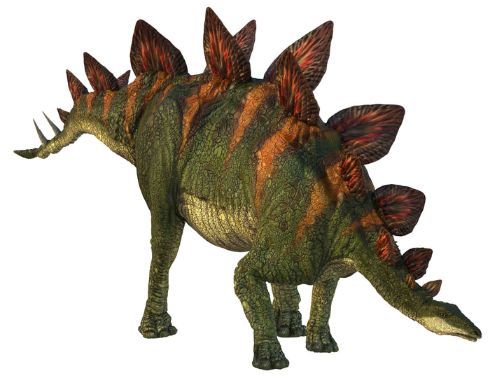 Projector Torch - Natural History Museum Dinosaurs