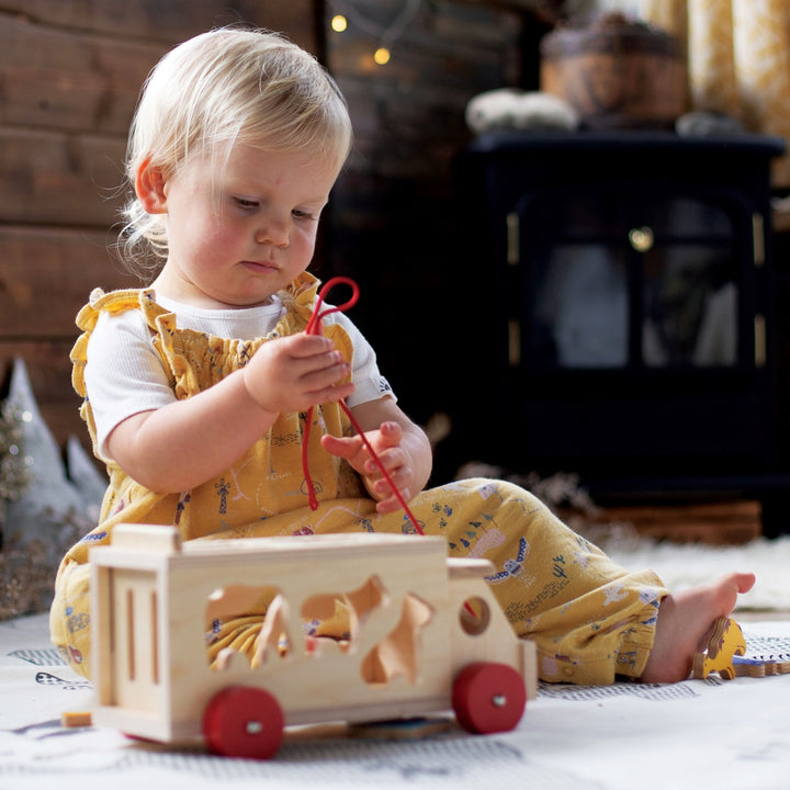 Bigjigs Animal Shape Lorry