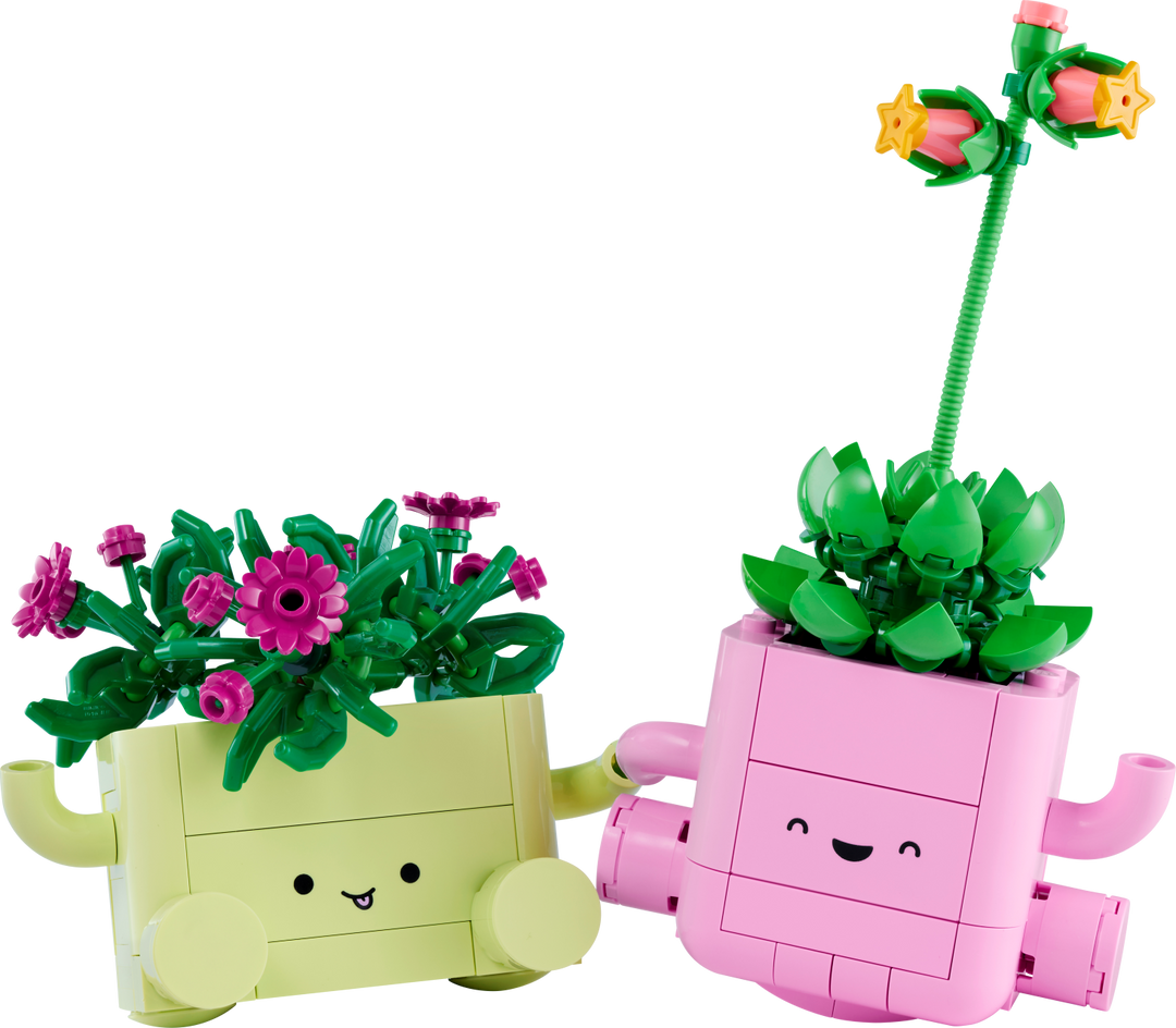 Botanicals - Rocking Plants
