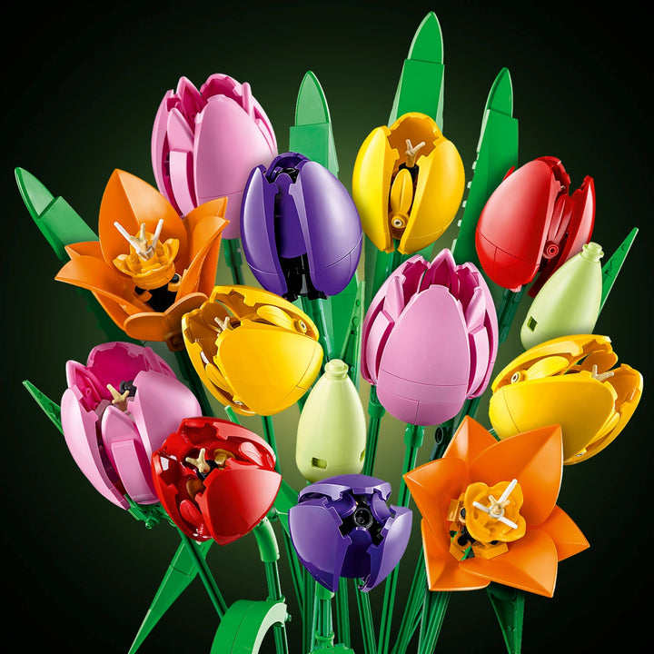 Botanicals - Tulip Bouquet