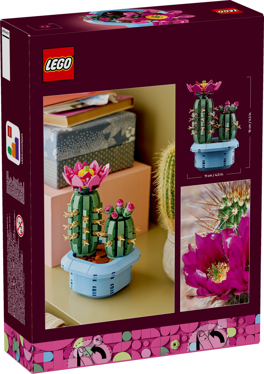 Botanicals - Flowering Cactus