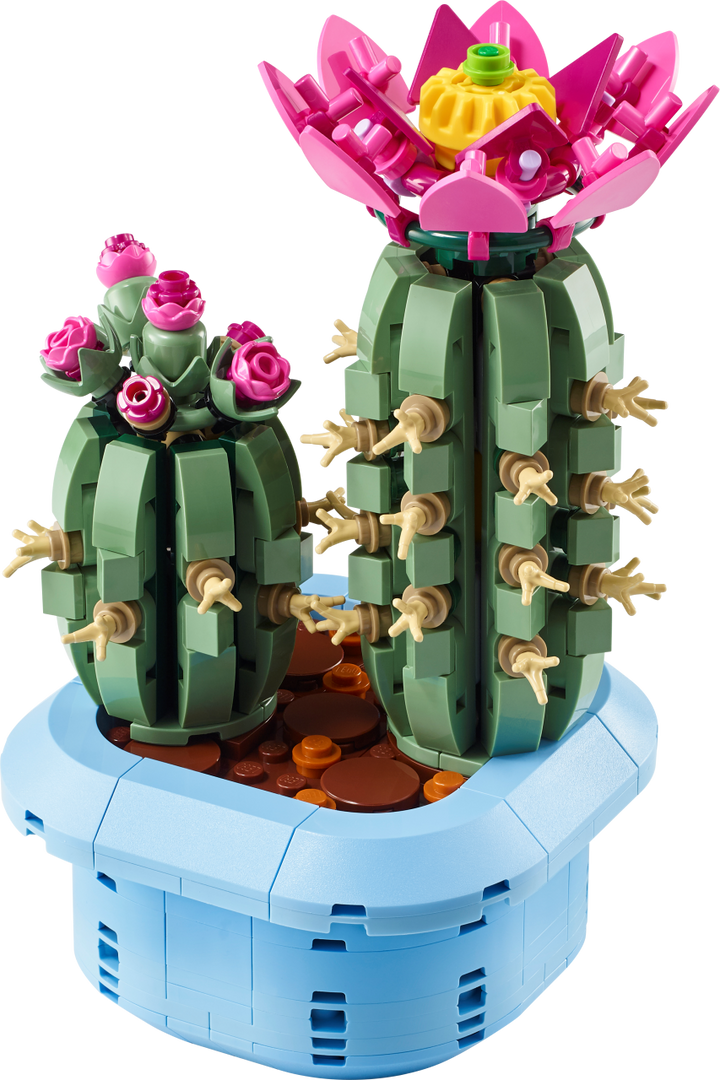 Botanicals - Flowering Cactus