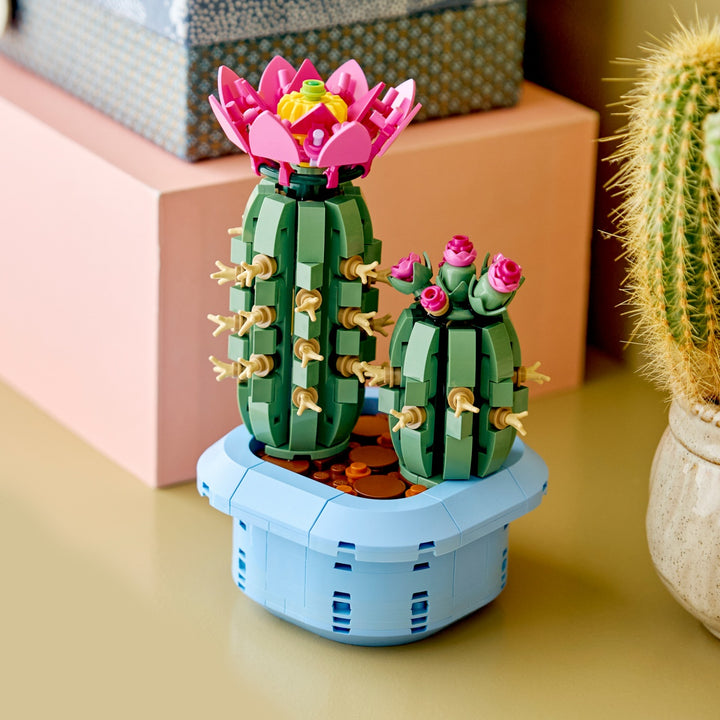 Botanicals - Flowering Cactus