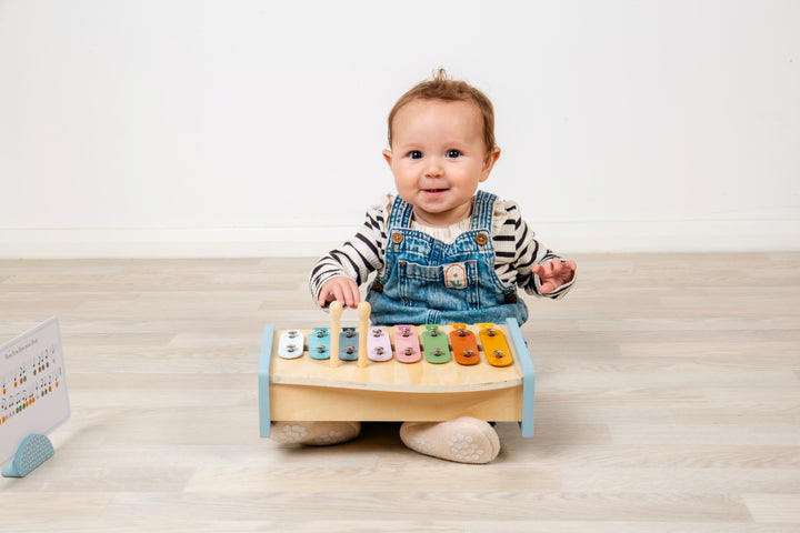 Bigjigs Xylo Piano