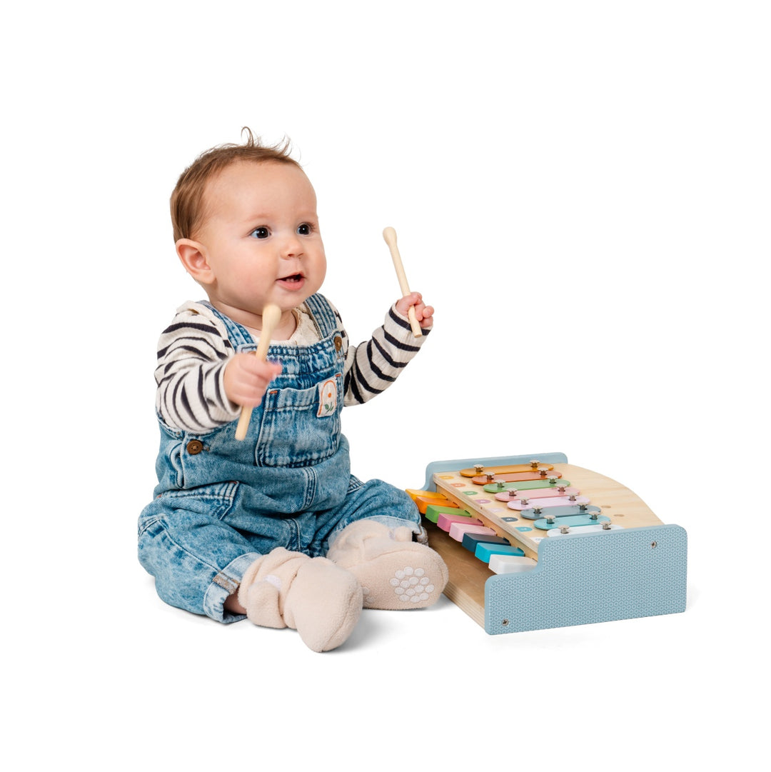 Bigjigs Xylo Piano