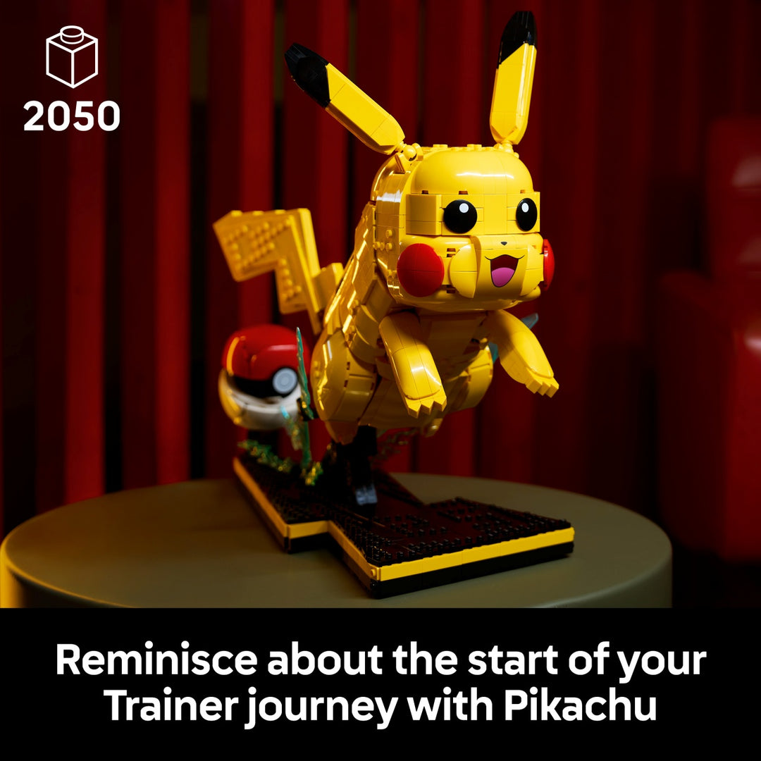 Pokémon -  Pikachu and Poké Ball