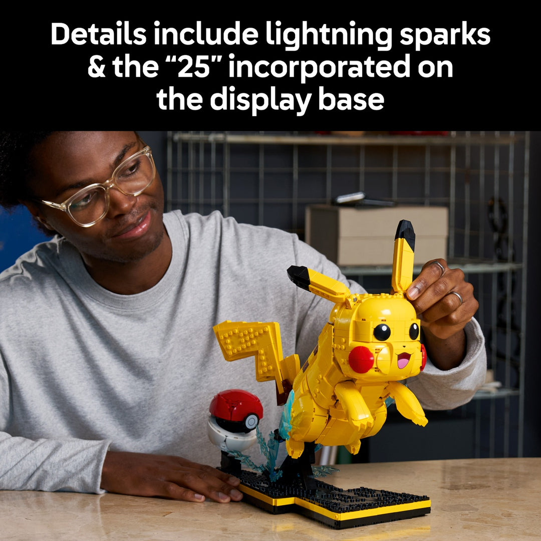 Pokémon -  Pikachu and Poké Ball