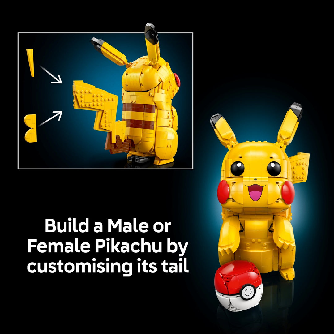 Pokémon -  Pikachu and Poké Ball