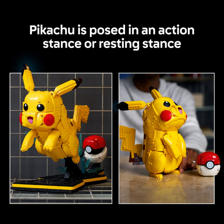 Pokémon -  Pikachu and Poké Ball