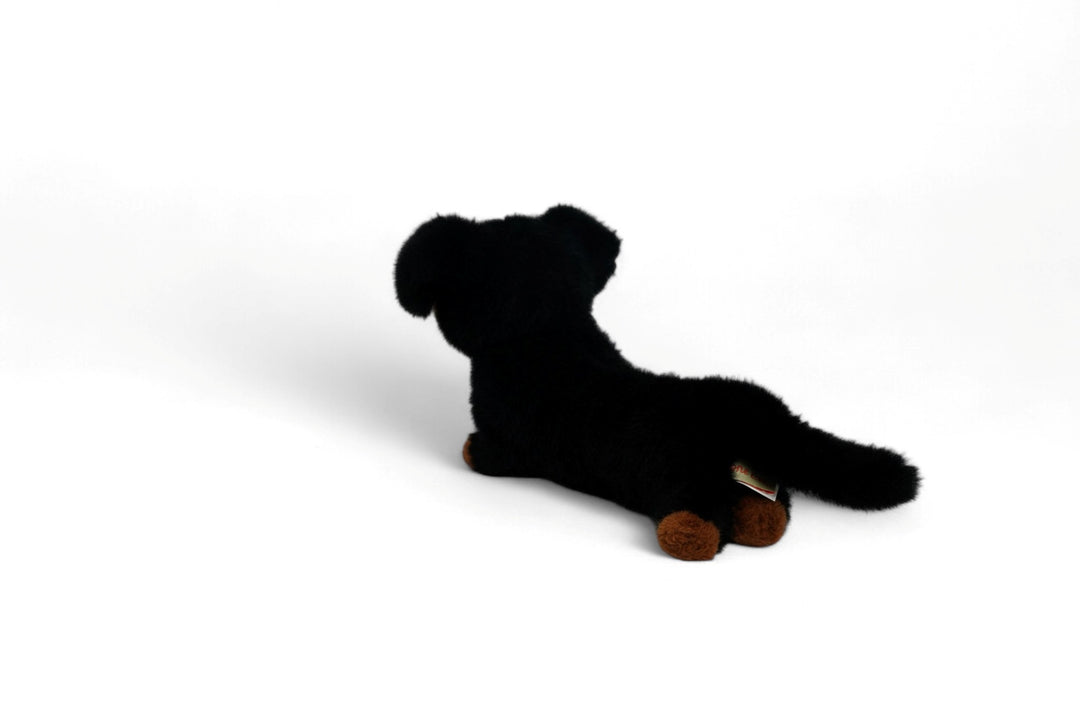 One Love Soft Toy - Pumpkin the Dachshund