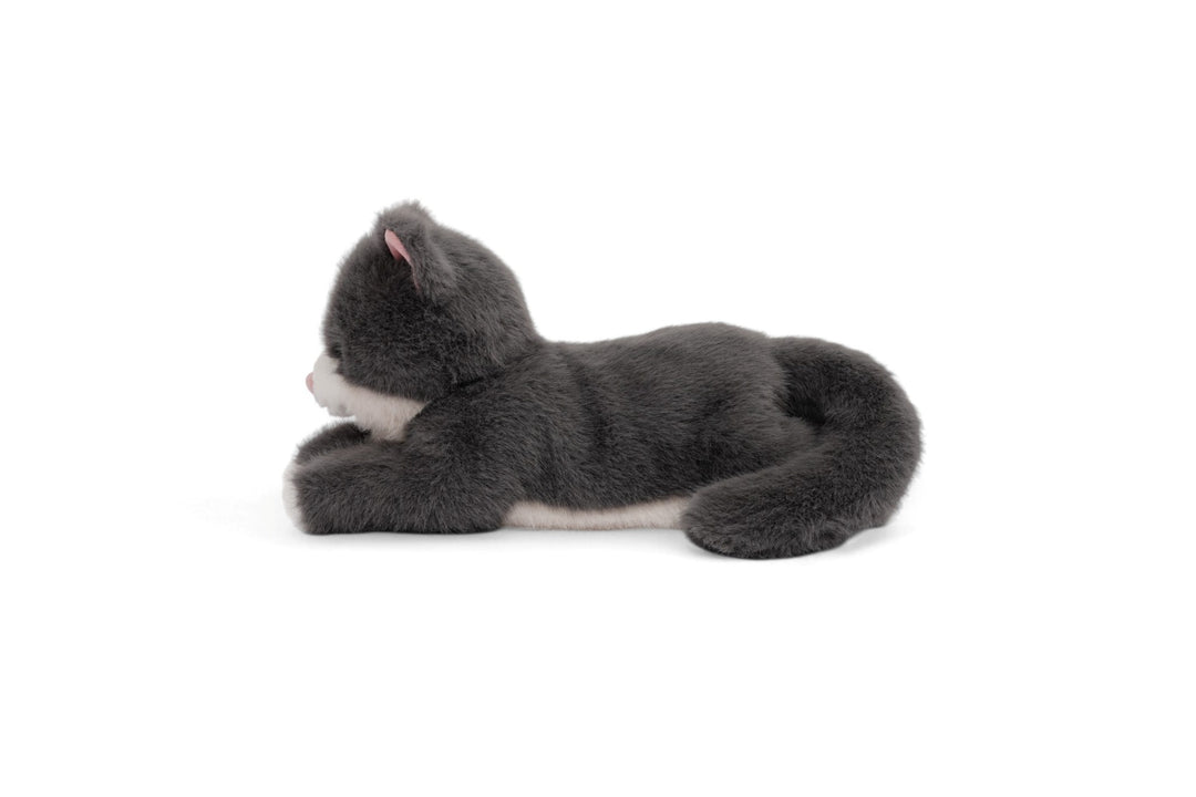 One Love Soft Toy - Misty the Cat