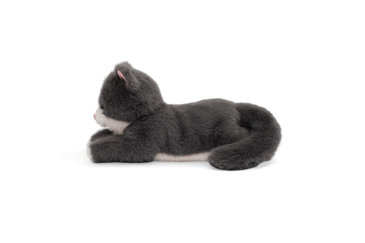 One Love Soft Toy - Misty the Cat