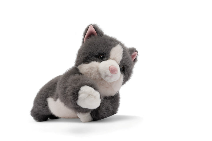 One Love Soft Toy - Misty the Cat