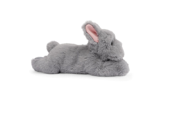 One Love Soft Toy - Remy the French Bulldog
