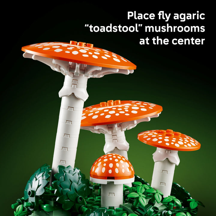 Botanicals - Woodland Mushrooms