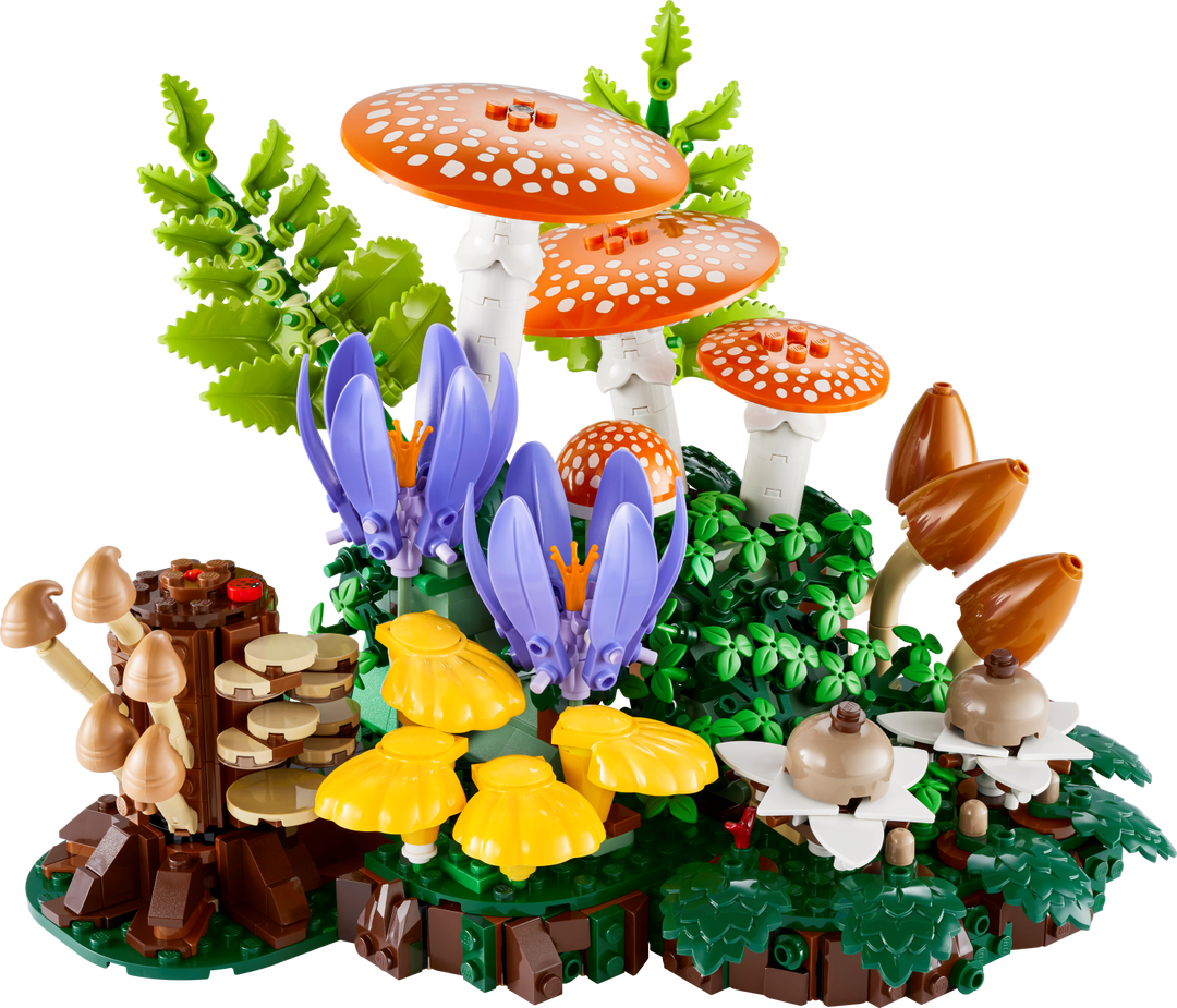 Botanicals - Woodland Mushrooms