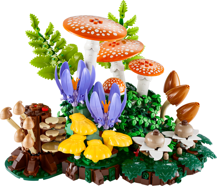 Botanicals - Woodland Mushrooms