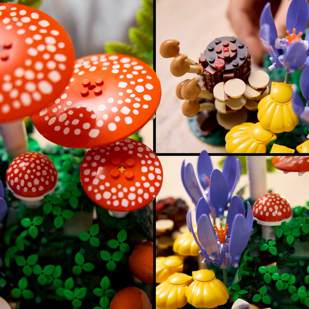 Botanicals - Woodland Mushrooms