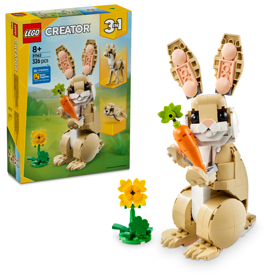 Creator - Cute Bunny 31162