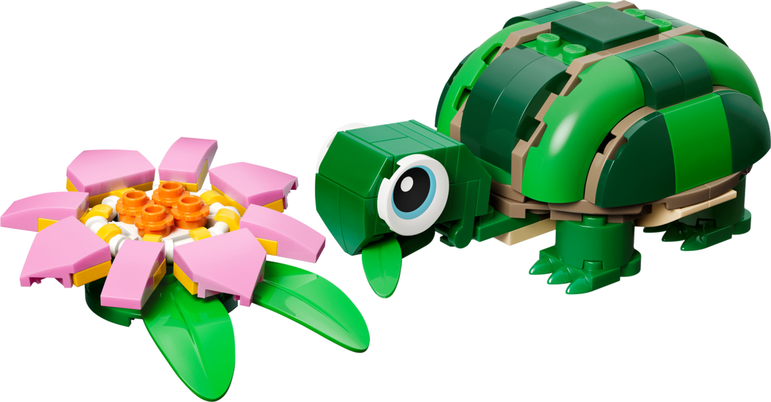 Creator - Turtle with a Water Lily Flower