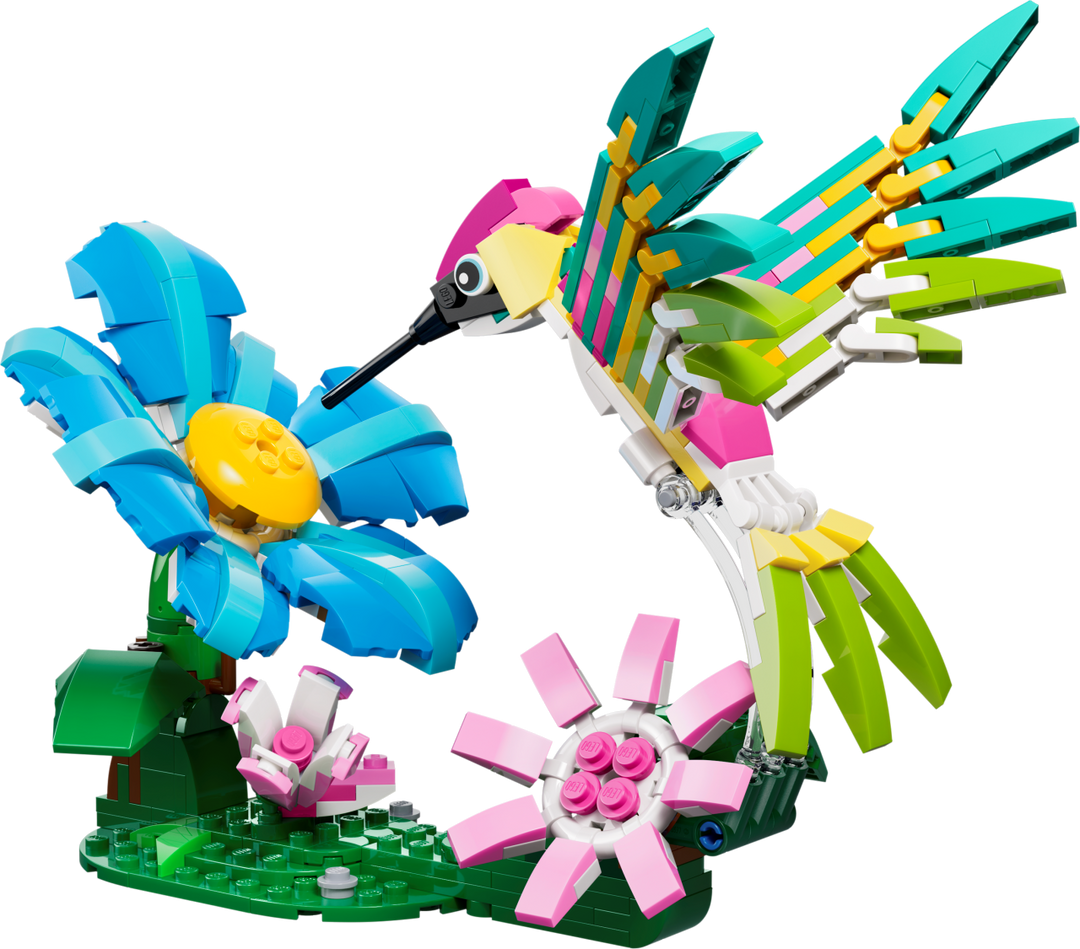 Creator - Wild Animals: Colourful Hummingbird