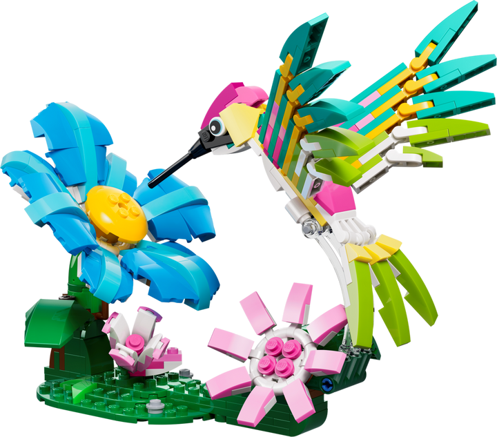 Creator - Wild Animals: Colourful Hummingbird