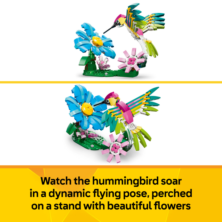 Creator - Wild Animals: Colourful Hummingbird