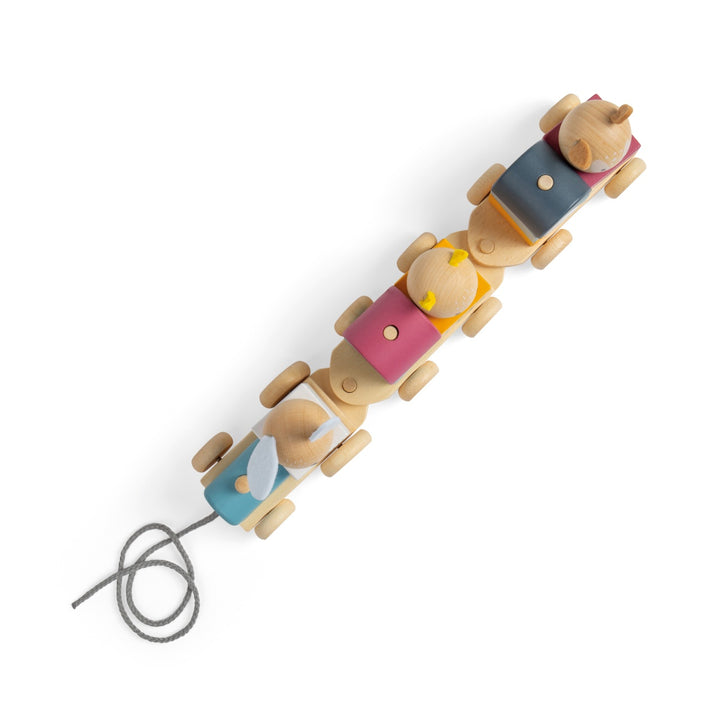 Bigjigs Activity Pull Along Train