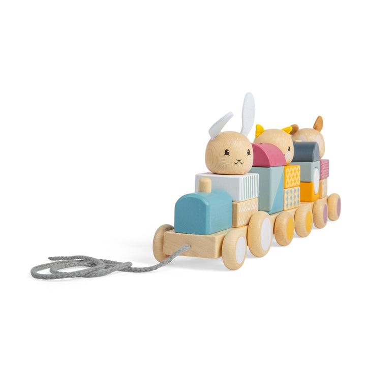 Bigjigs Activity Pull Along Train