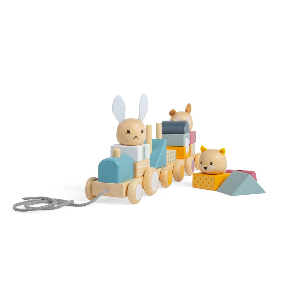 Bigjigs Activity Pull Along Train