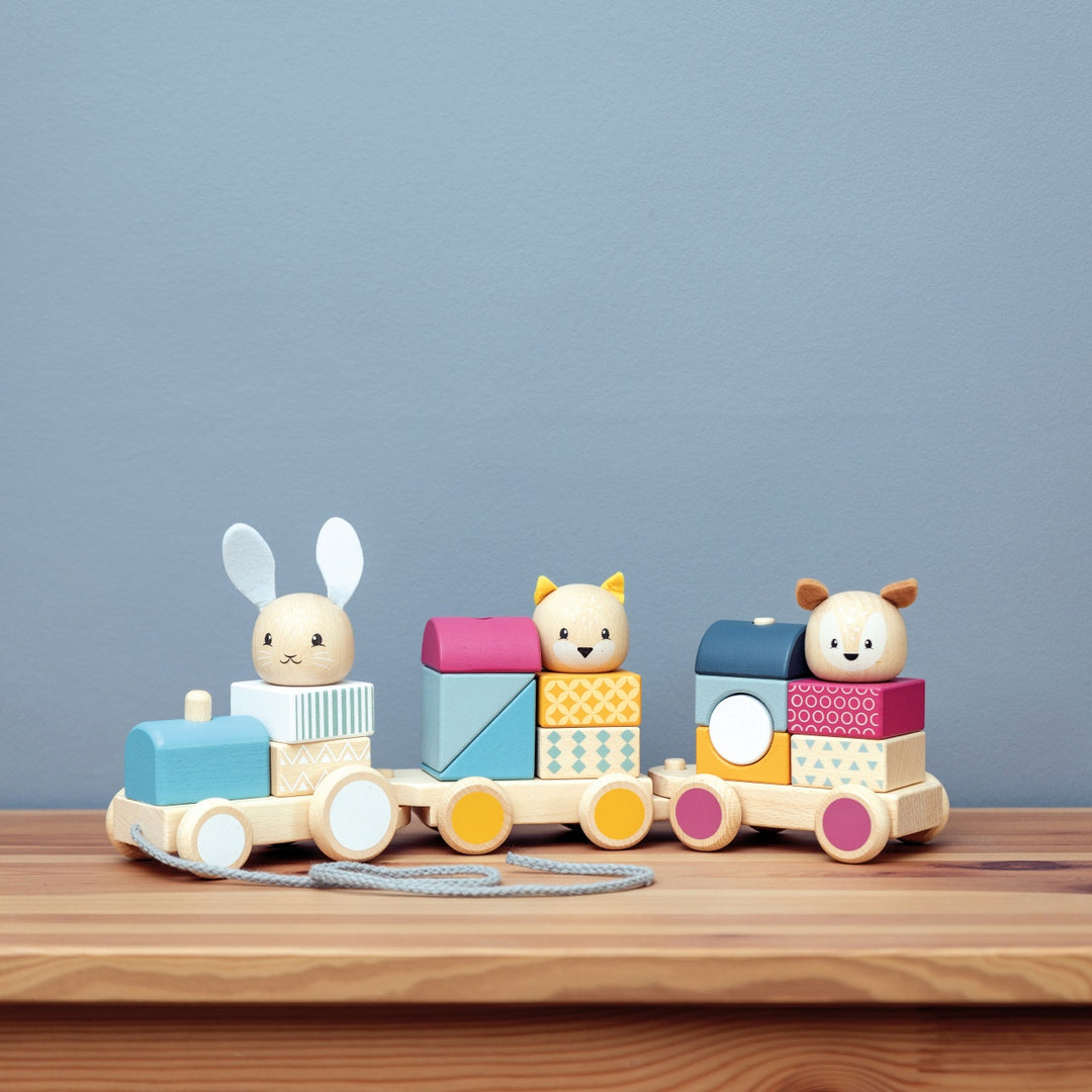 Bigjigs Activity Pull Along Train