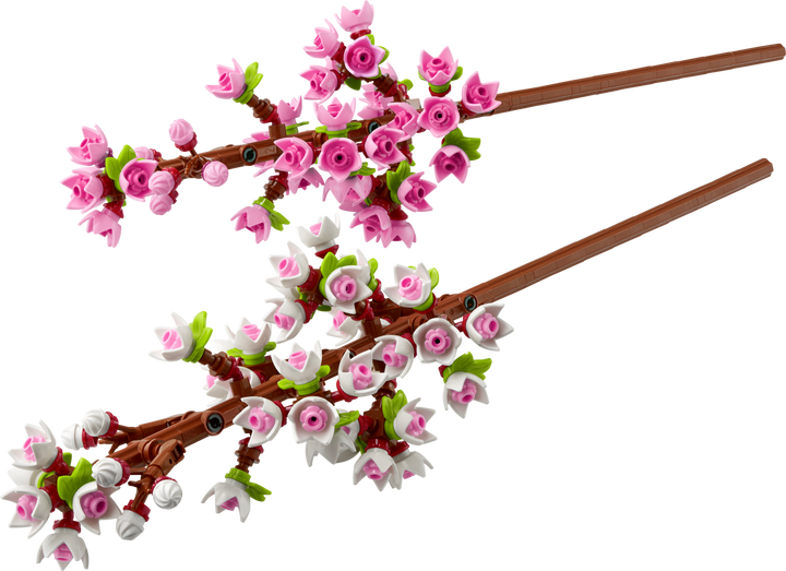Botanicals - Cherry Blossoms
