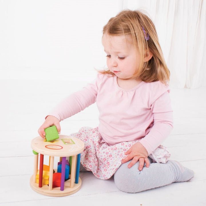 Bigjigs Rolling Shape Sorter