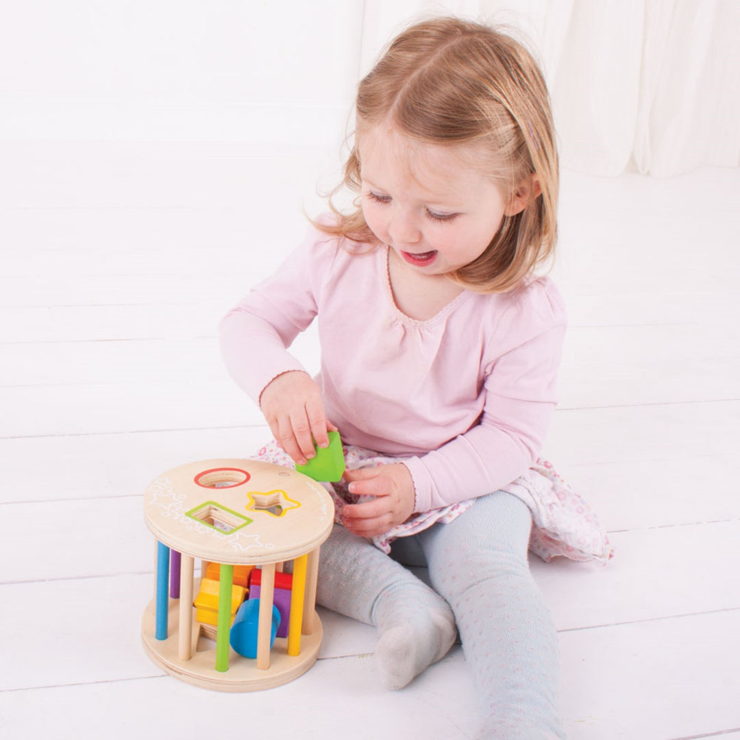 Bigjigs Rolling Shape Sorter