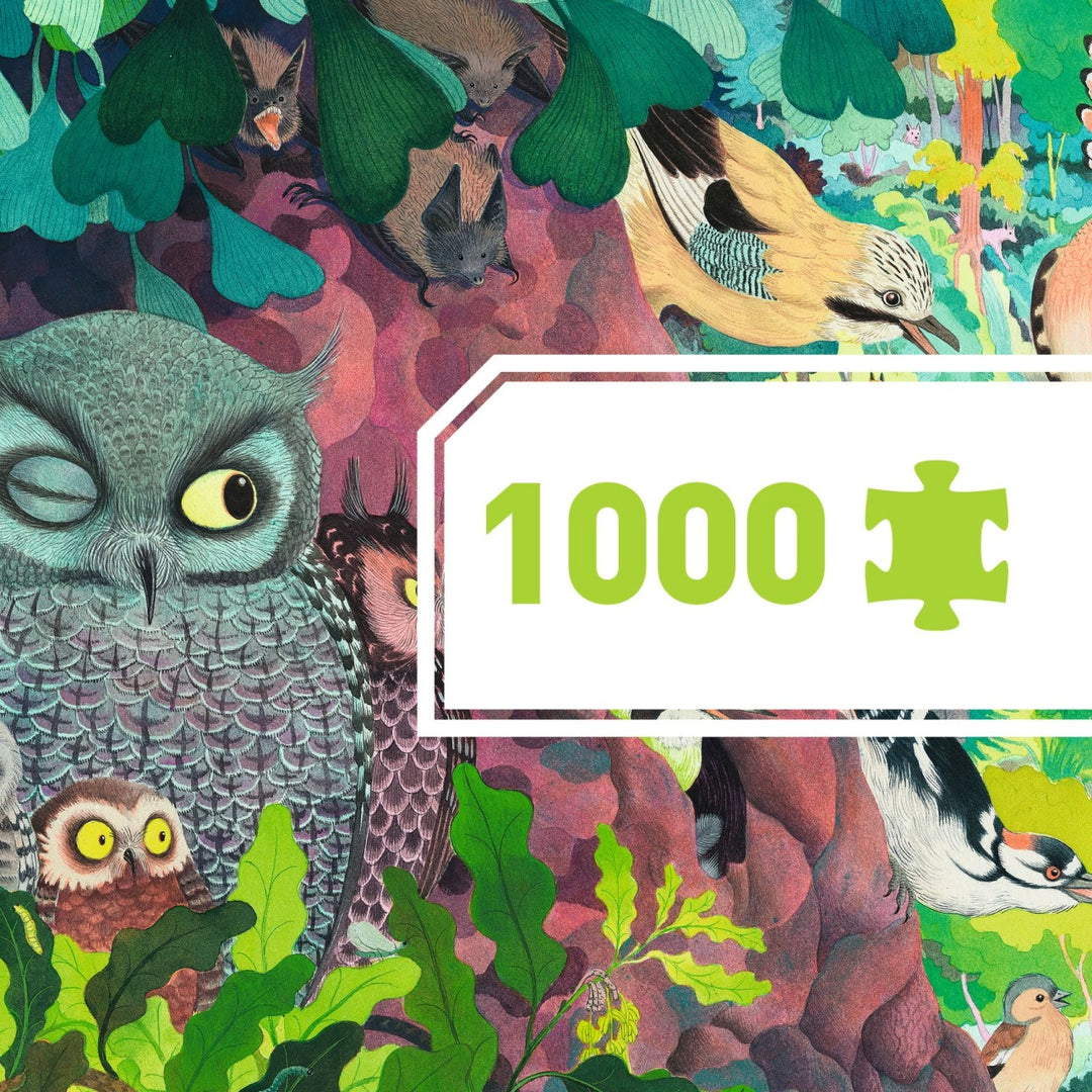 Djeco Puzzle Gallery - Owls and Birds 1000 pieces