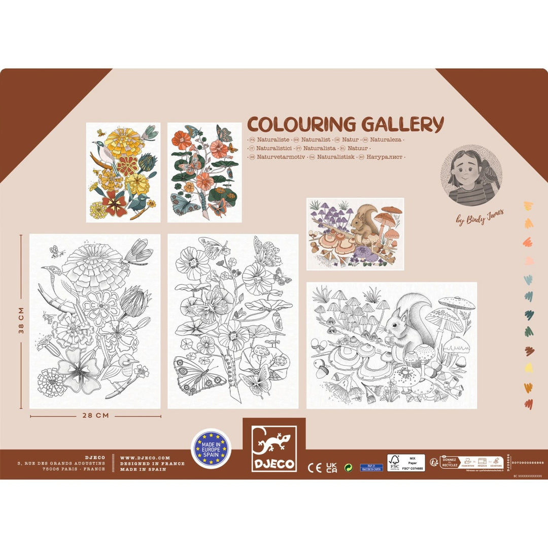 Djeco Colouring Gallery - Naturalist
