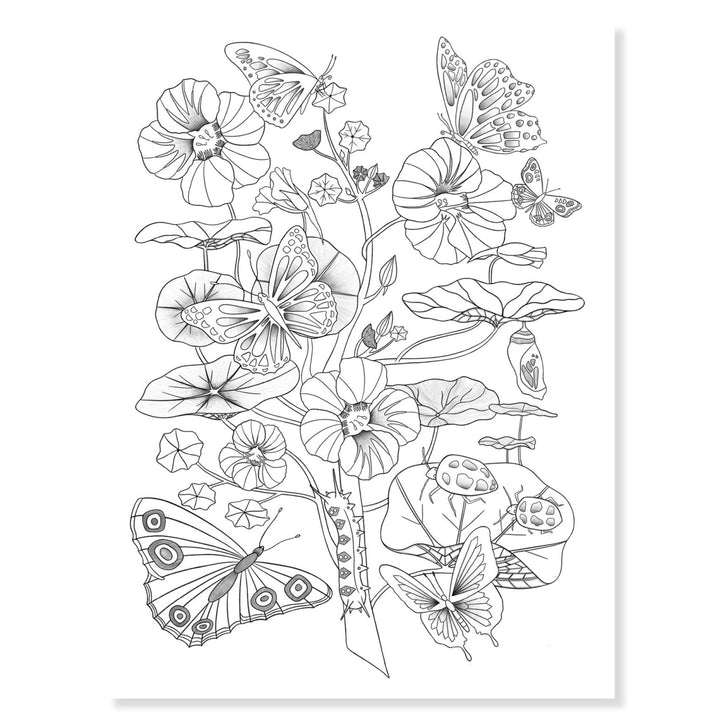 Djeco Colouring Gallery - Naturalist