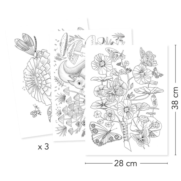 Djeco Colouring Gallery - Naturalist