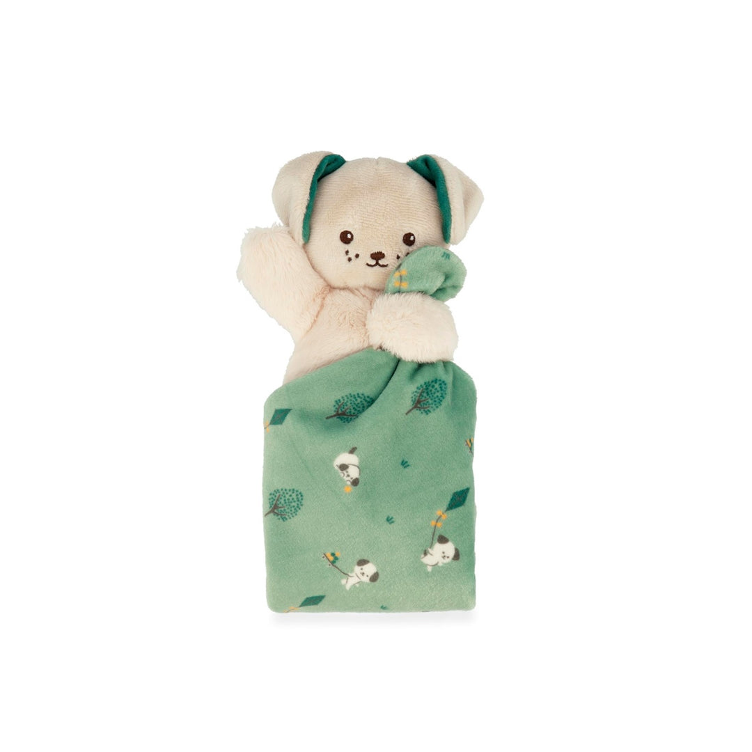 Kaloo Carre Douceur Doudou - Dog Green 17cm