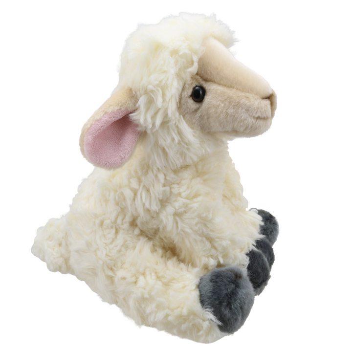 Wilberry Favourites - Lamb