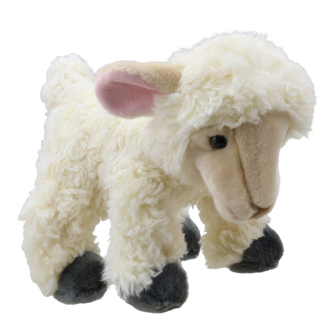 Wilberry Favourites - Lamb