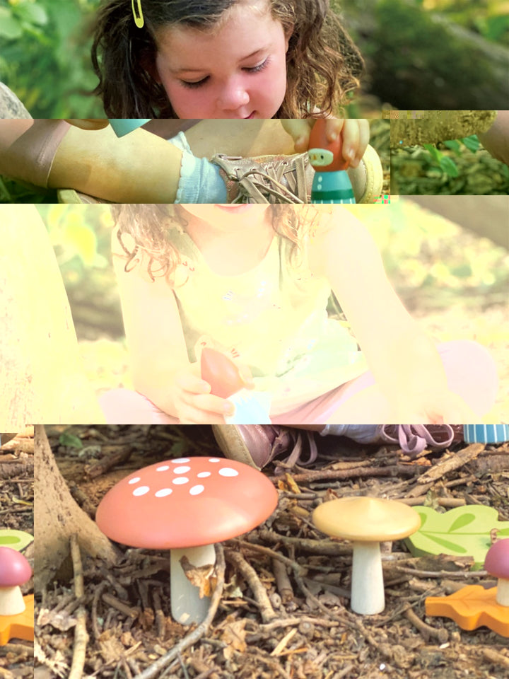 Woodland Gnome Family