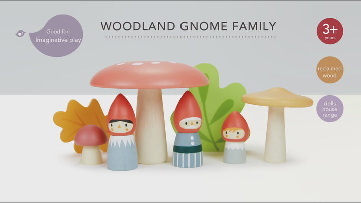 Woodland Gnome Family