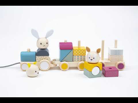 Bigjigs Activity Pull Along Train