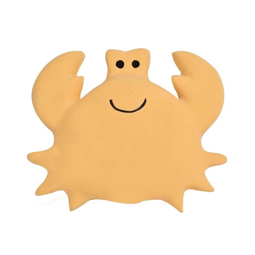 Tikiri - My First Ocean Buddies Rattle and Bath Toy